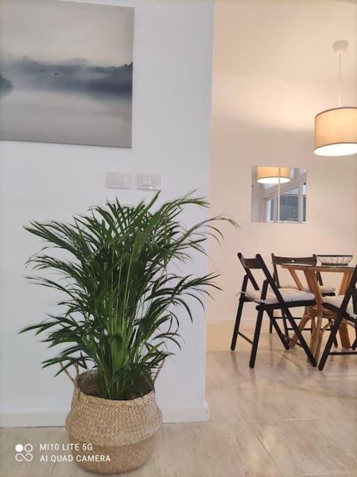 Apartamento Casa Con Jardin