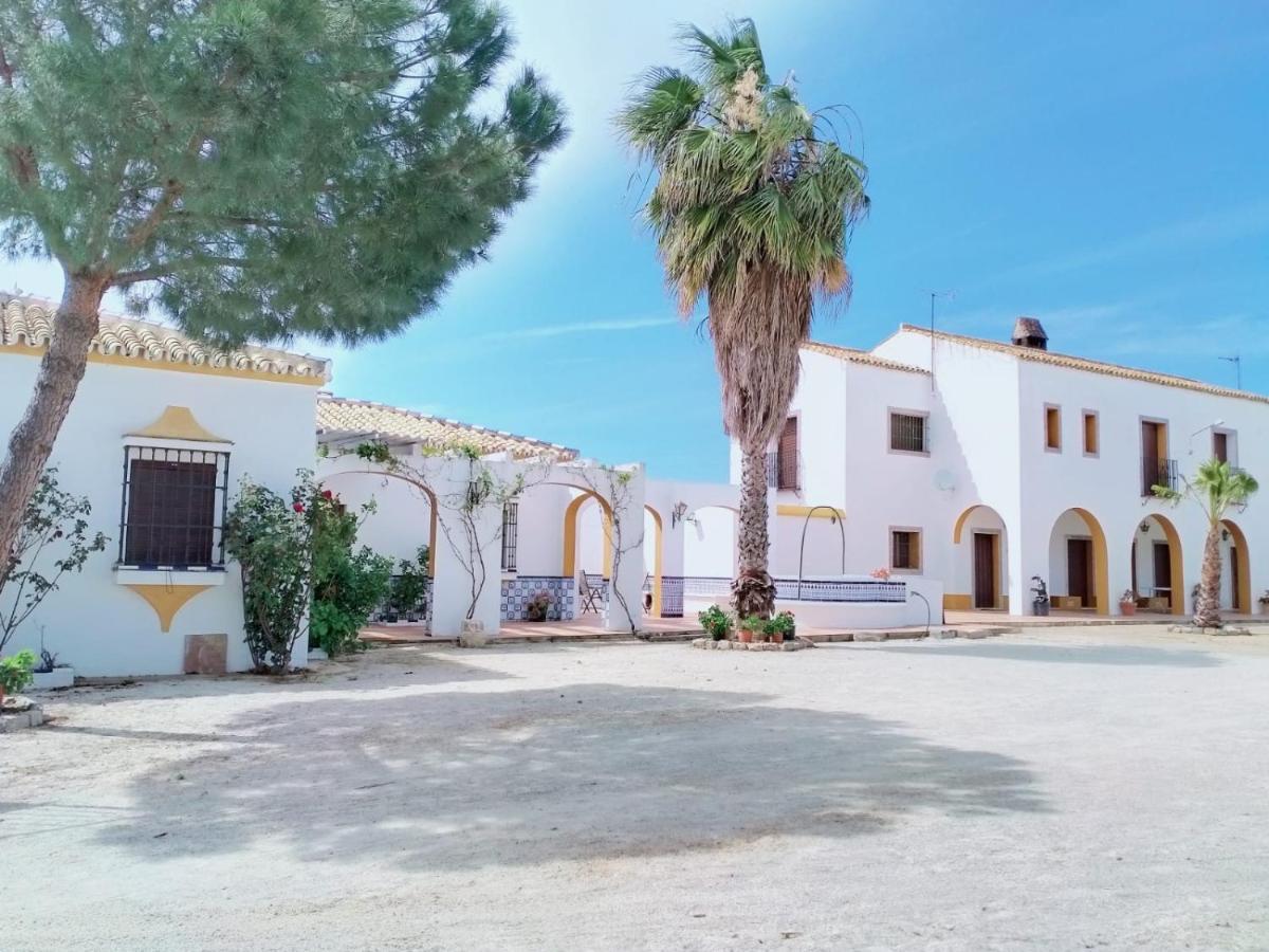 Cortijo Cruces - Sevilla Guillena