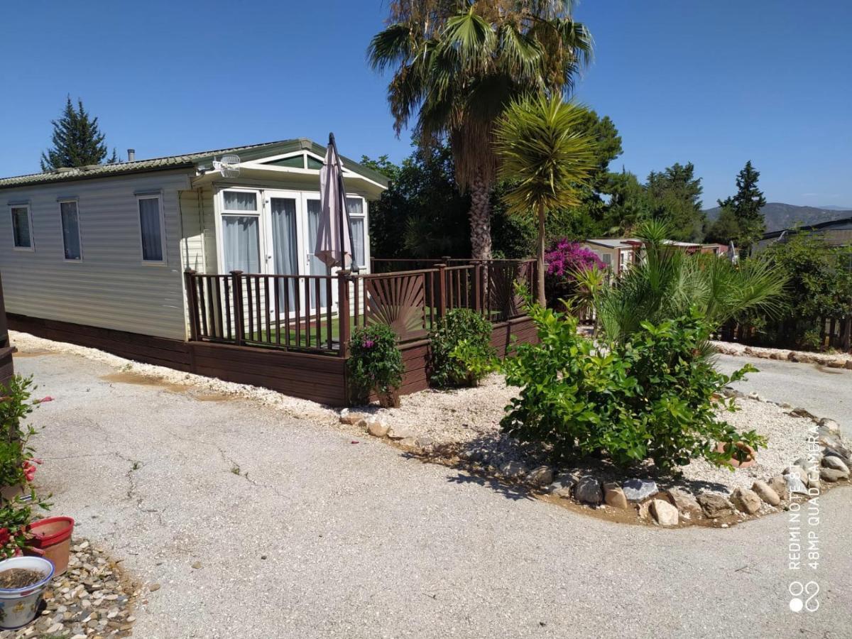 Malaga Monte Parc Campsite Alhaurin de la Torre
