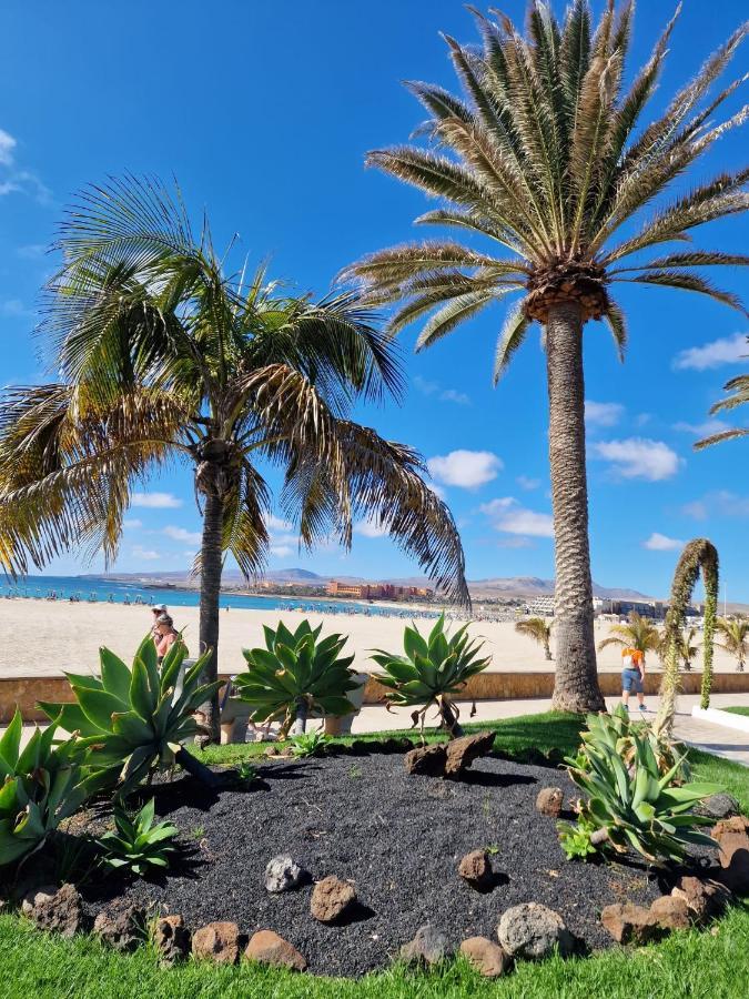 Caleta Apartamento *