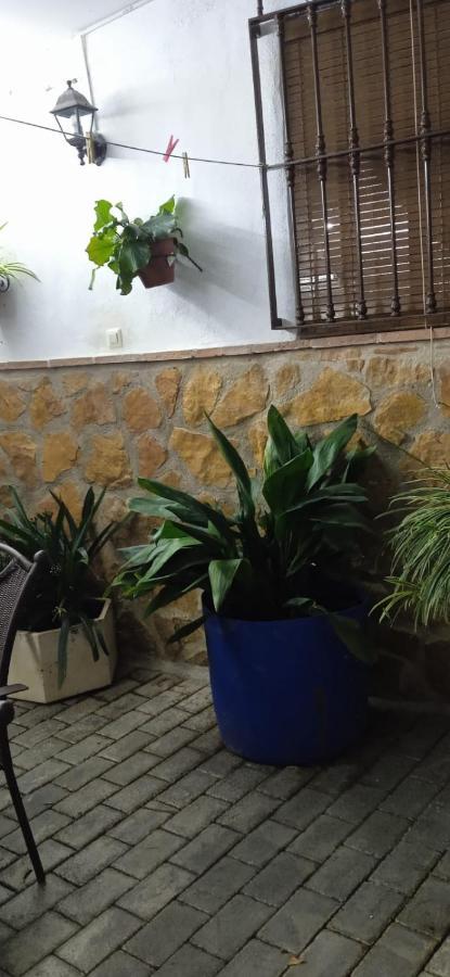 Casa rural Vivienda Turistica De Rural El Almendro Pegalajar