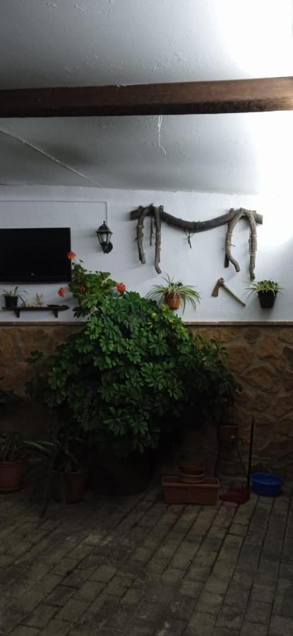 Vivienda Turistica De Rural El Almendro * Pegalajar
