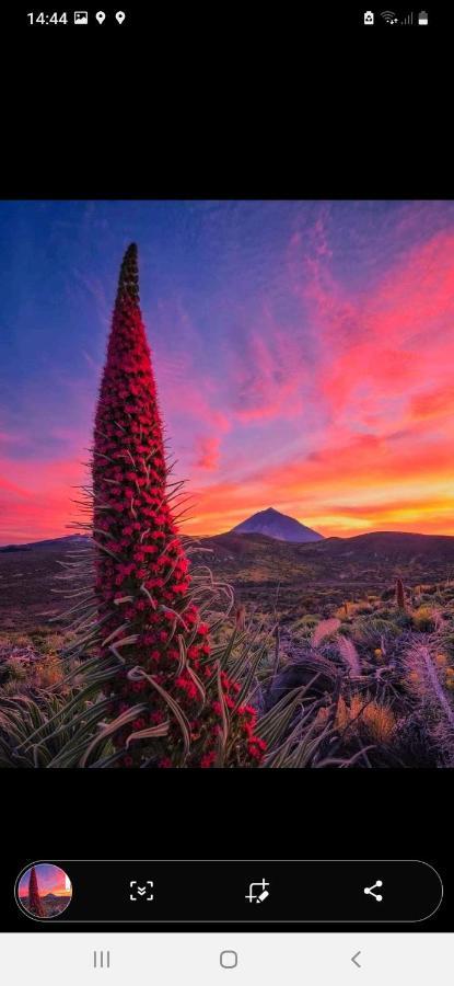 Casa Nea * El Rosario (Tenerife)