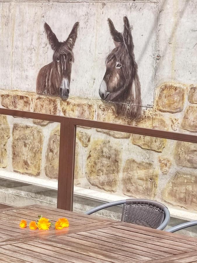 A Ritmo De Burro Chalet *