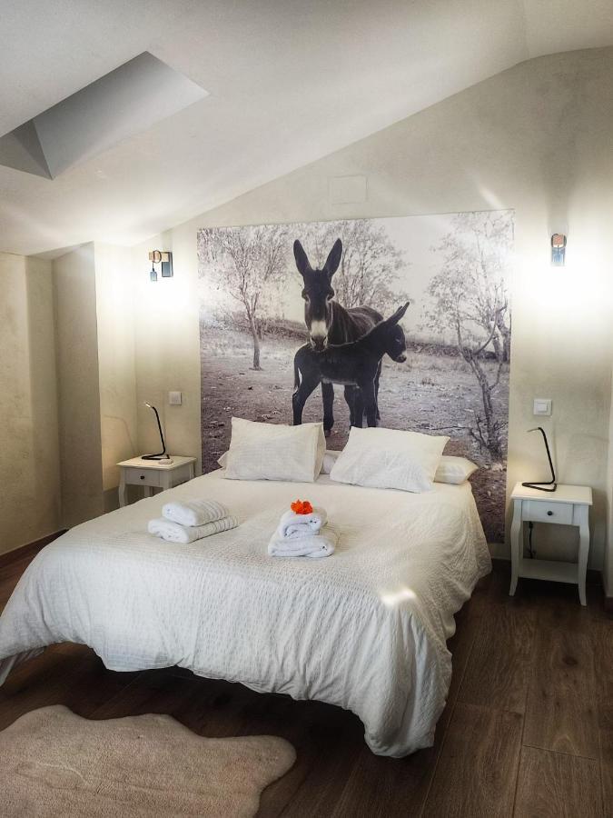 A Ritmo De Burro Chalet