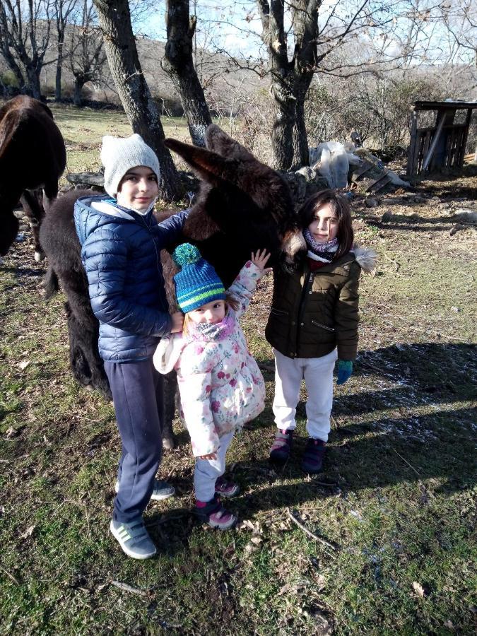 Chalet A Ritmo De Burro *