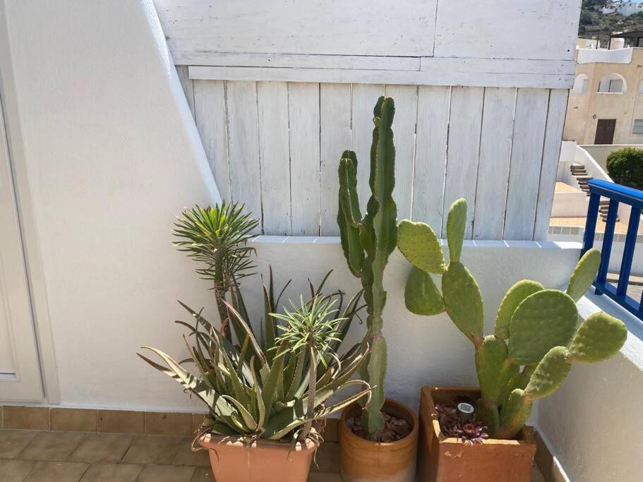 Galeria Tres Pinos Apartment San Jose (Almeria)