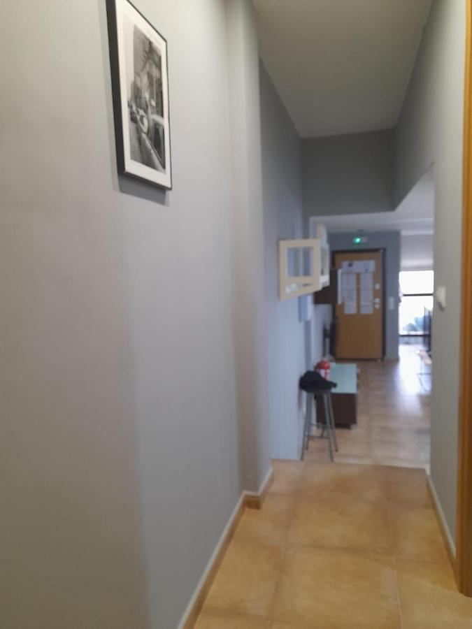 Dinosaurios Apartamento