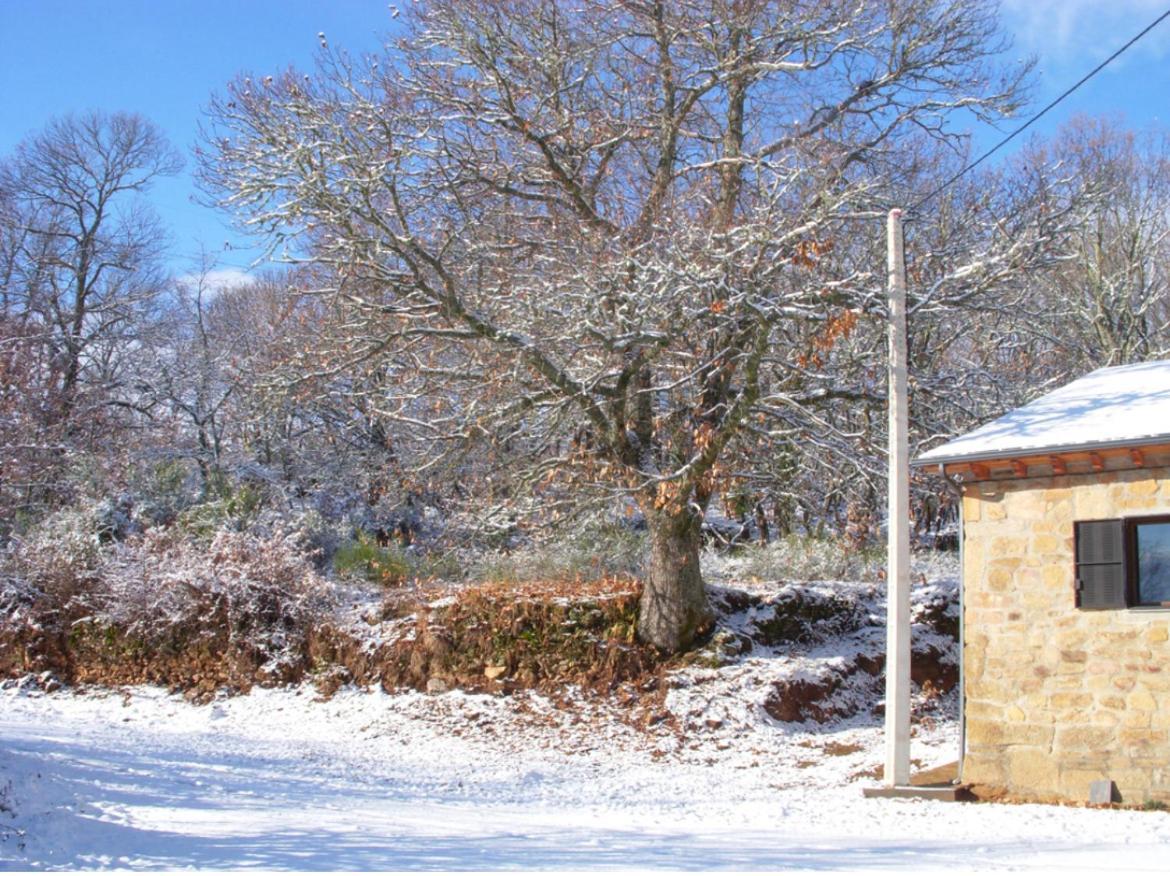 Palacio De La Cuesta - Sanabria Сasa de vacaciones Palacios de Sanabria