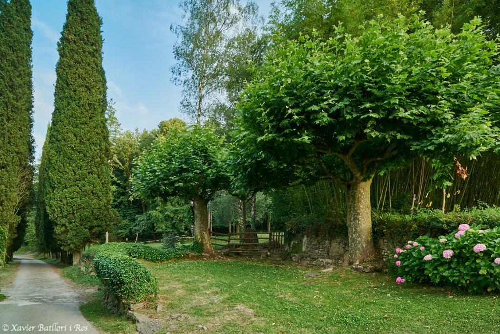 Fonda Finet * Sant Feliu De Pallerols