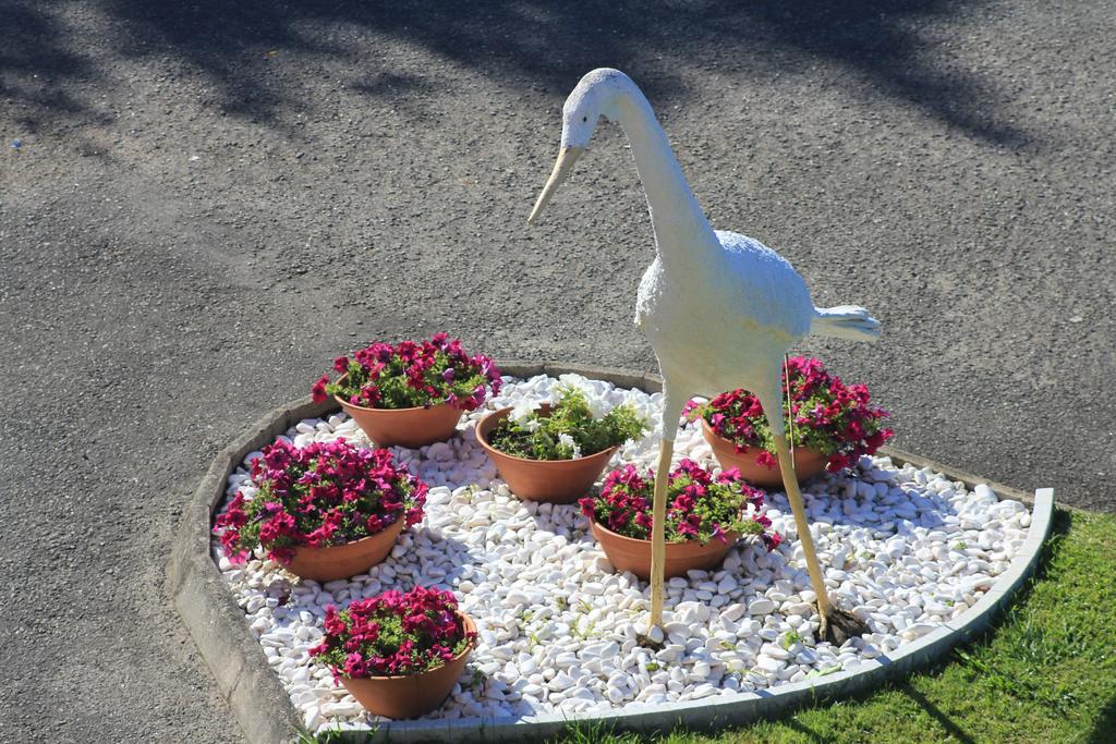 Apartamento Playa Montalvo