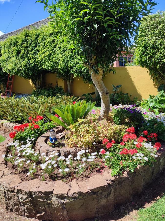 El Trazo Holiday home Tacoronte