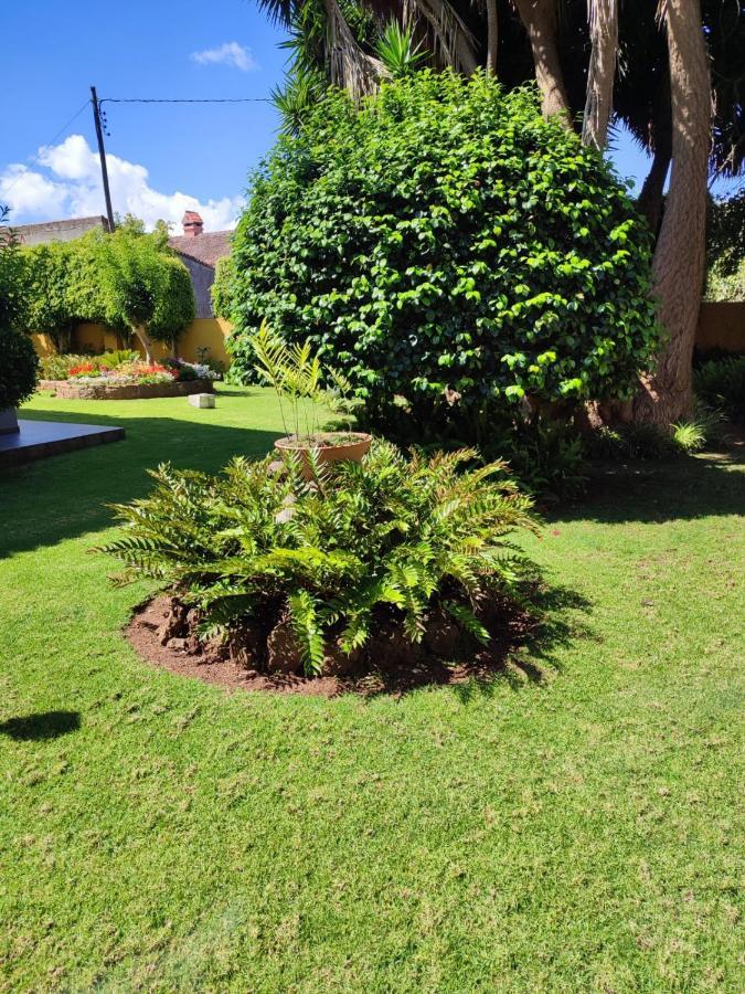 Holiday home El Trazo Tacoronte