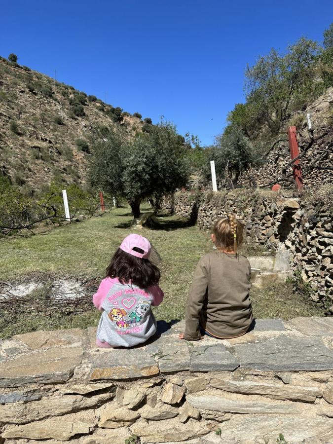 Molino Holiday home Laroya