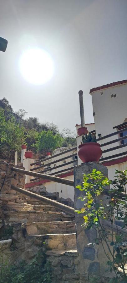 Molino * Laroya