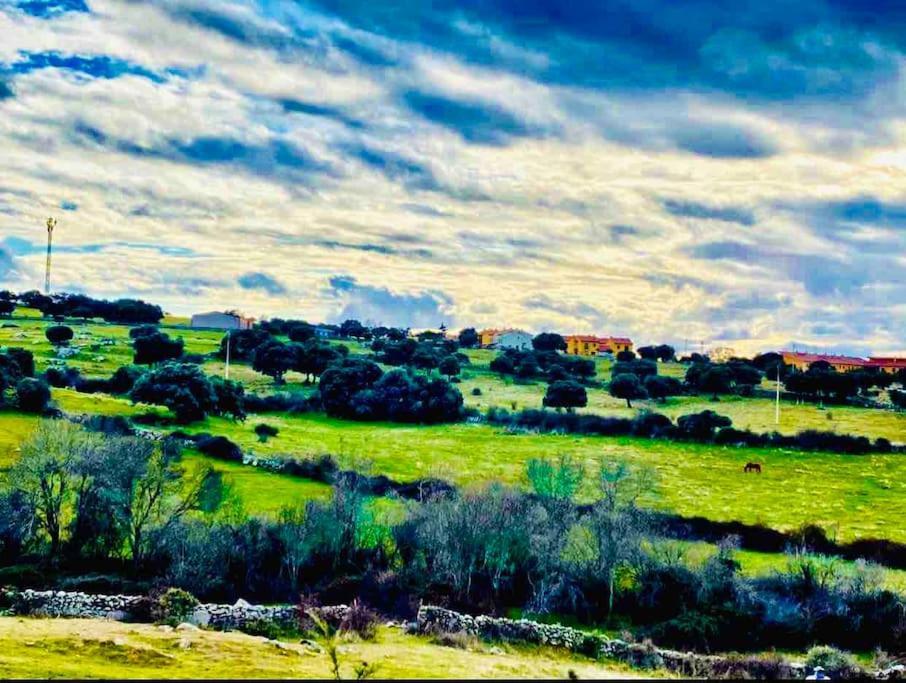 Arboleda * La Losa