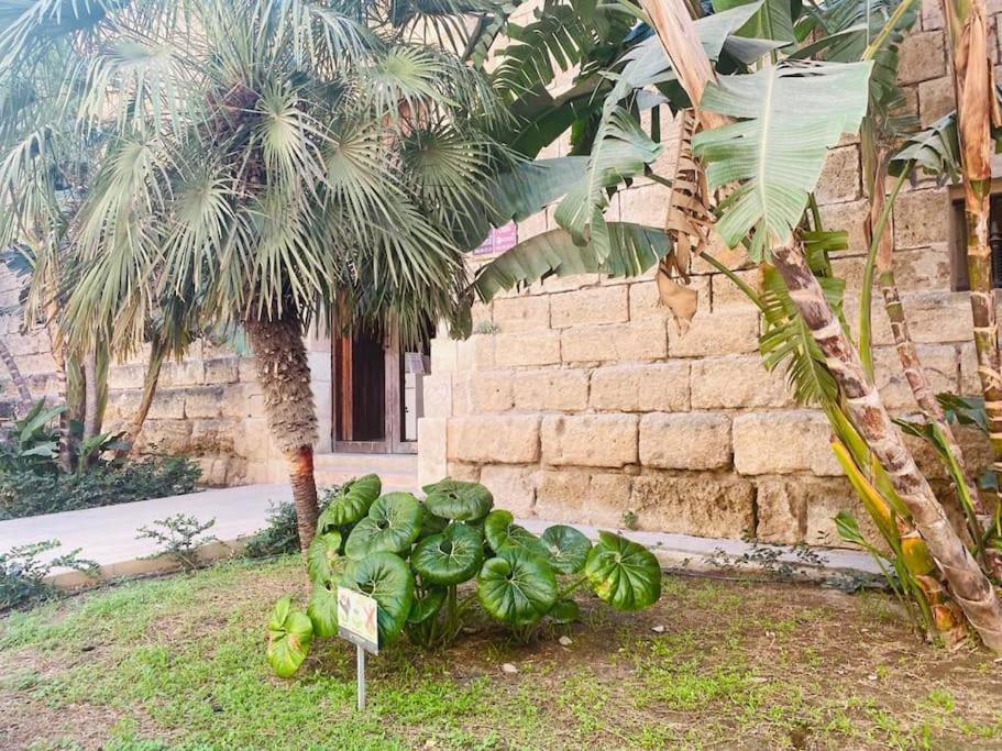 Apartamento Almariyyat Apartamento *