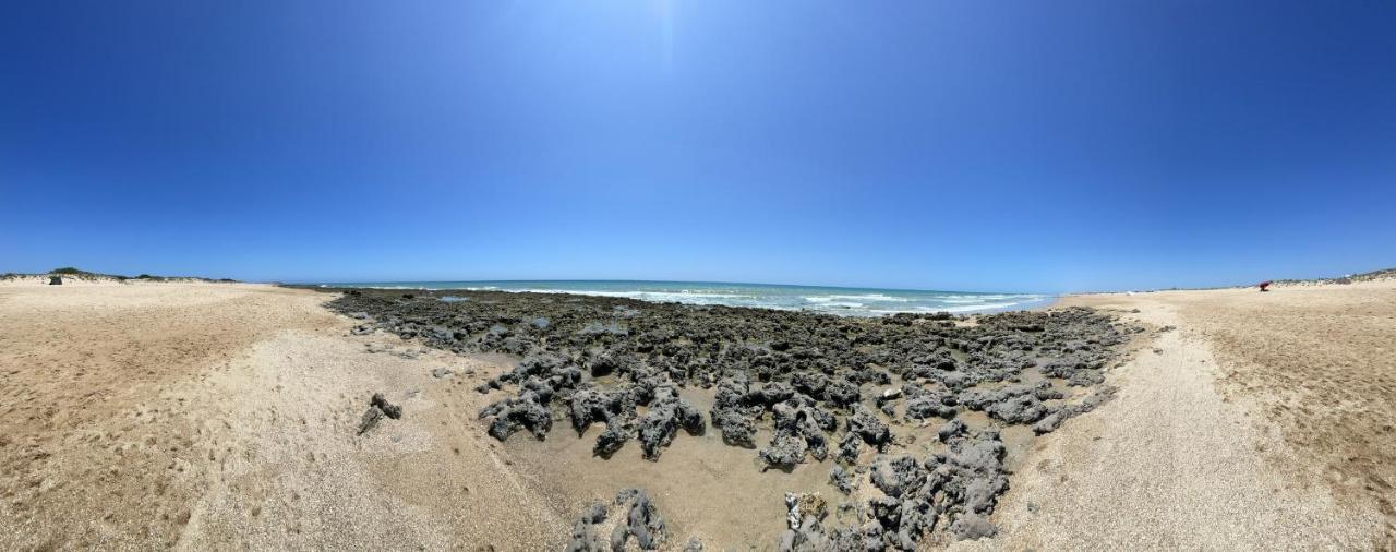 Cortijito Mangueta El Palmar (Andalucia)