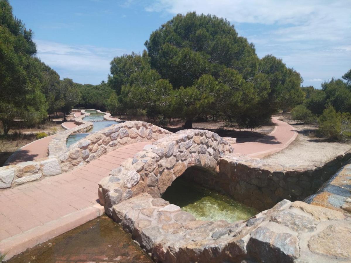 Apartamento Marina Sunbeach Mimosas Torrevieja
