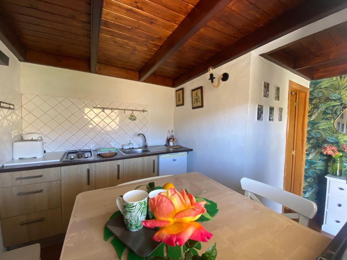 Juncalillo House Galdar