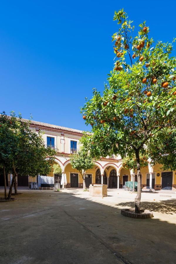 Historico Garaje Y Wifi Apartamento