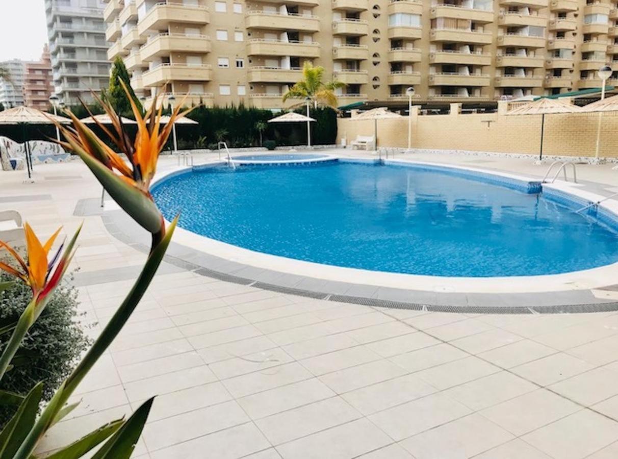 Terraza Al Mar Magic World Apartment *