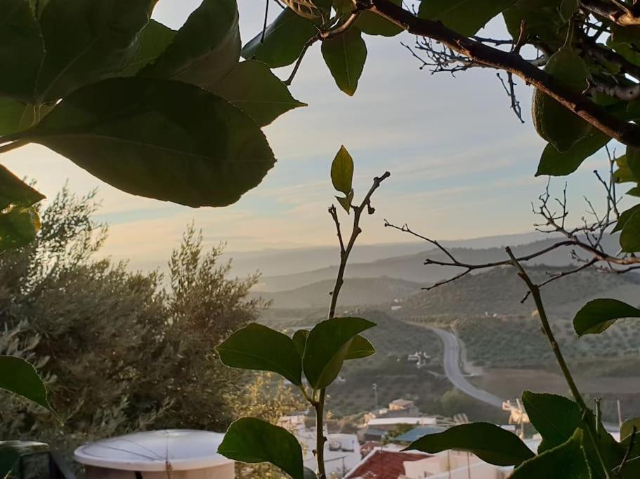 Mirador Del Olivar Сasa de vacaciones