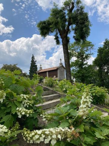 Guest house Eido Do Rei - Hospedaxe Rural Ponteareas