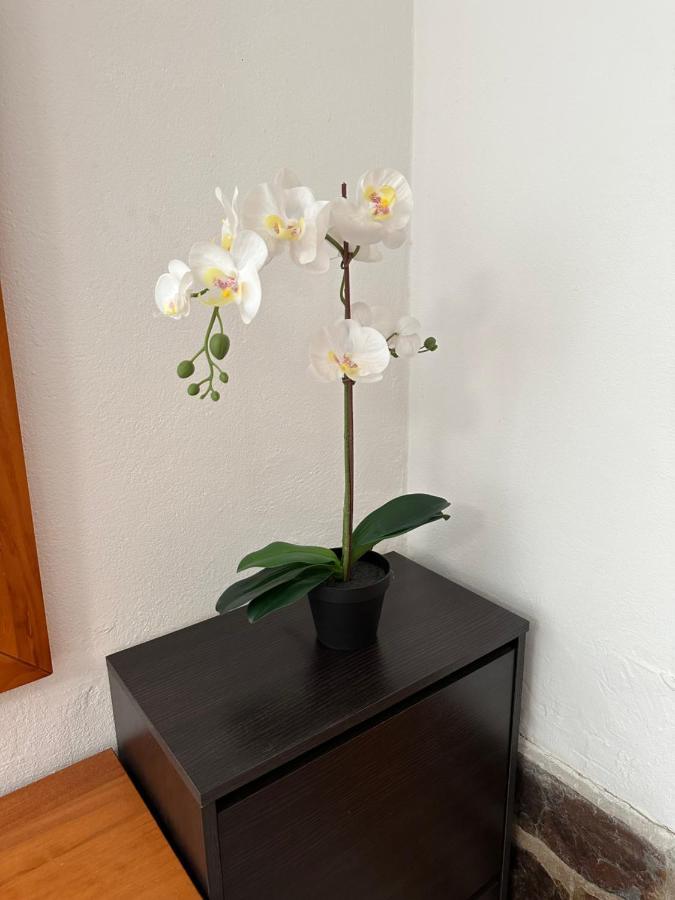Apartamento Bellavista Dm Private Pool