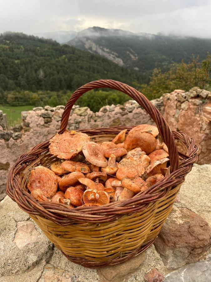 Country house Blanc De Vilacireres *