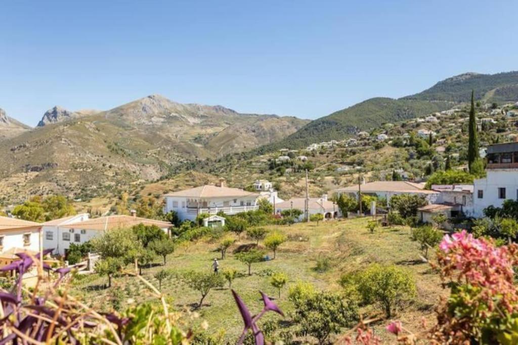 Apartment La Fuente *
