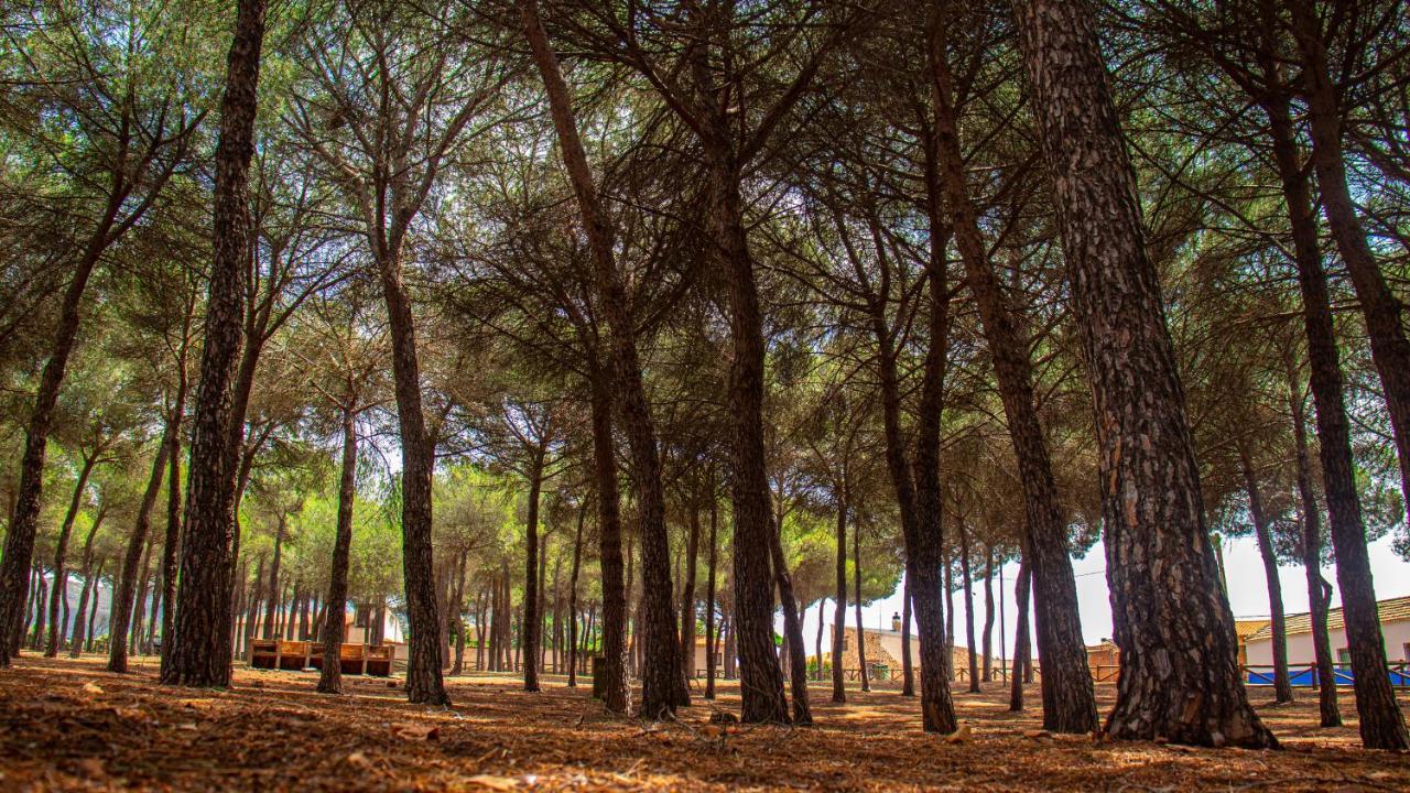 Holiday home Valle De Molinos *