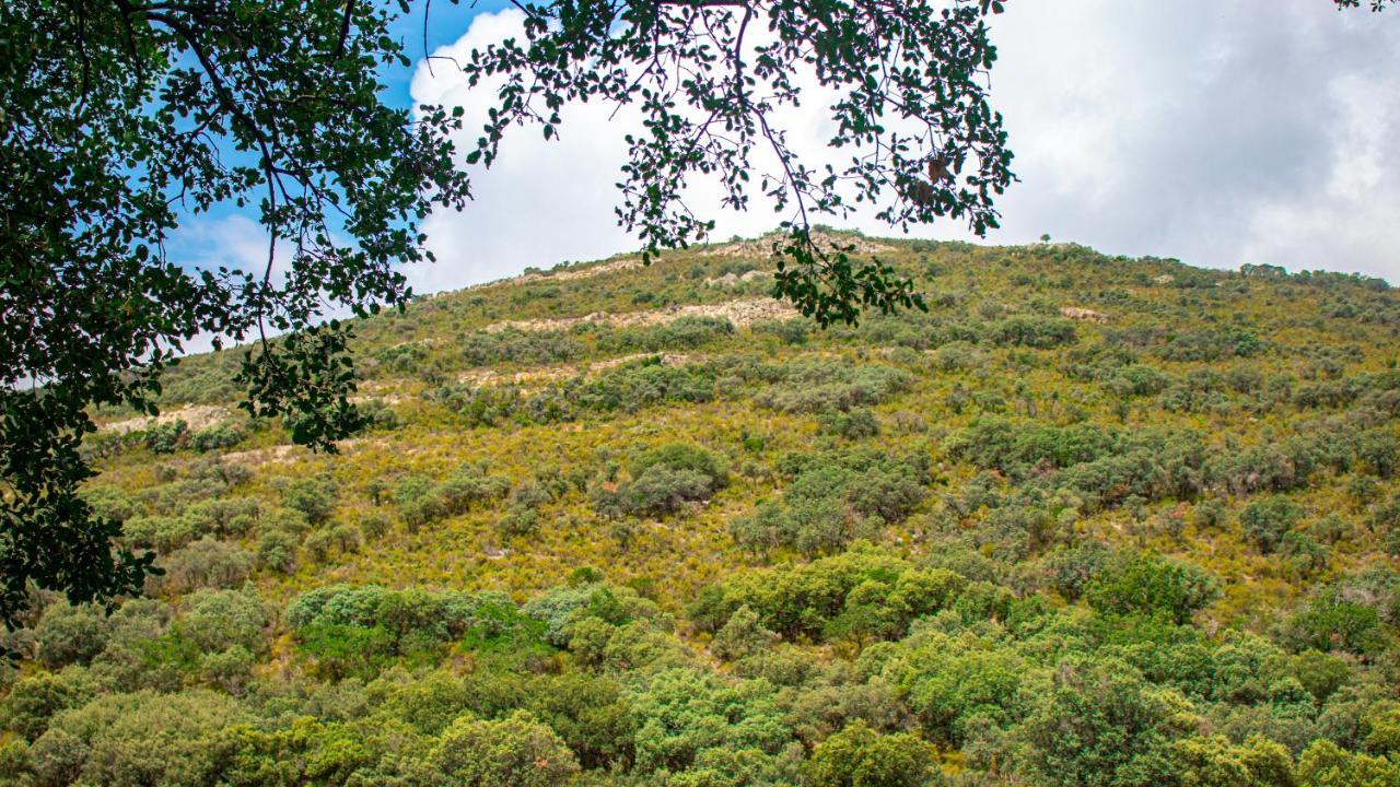 Holiday home Valle De Molinos *