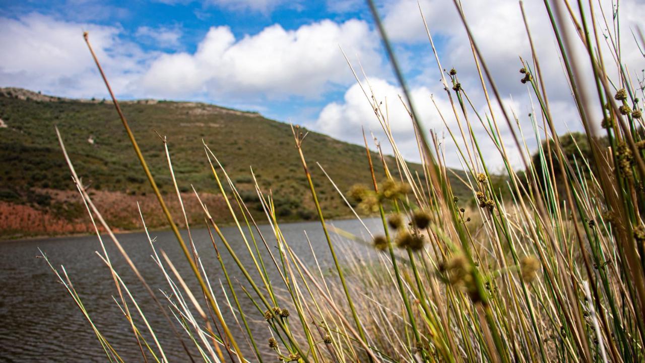 Valle De Molinos Holiday home *