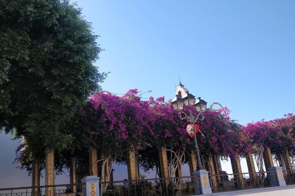 Apartment Charming In Tazacorte