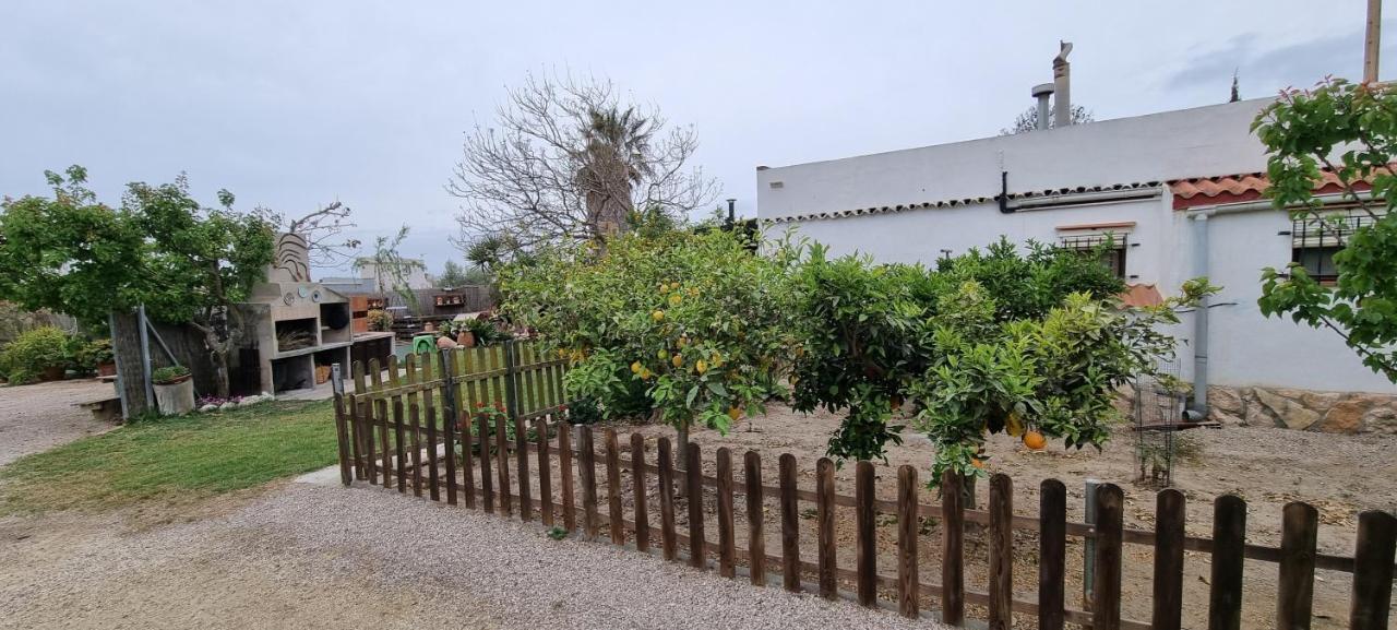 Carme De Nelis Holiday home Deltebre