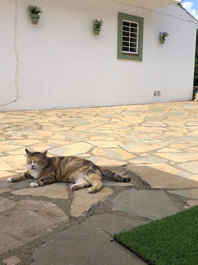 Сasa de vacaciones Mikaela House Marbella Malaga Estepona