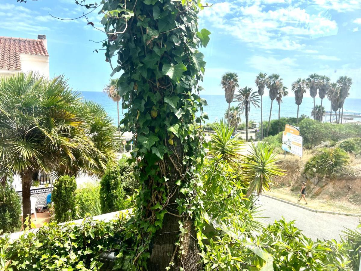 Adosado Playa Marina Catalpa El Faro