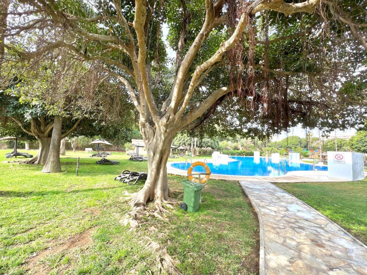 Adosado Playa Marina Catalpa Apartamento El Faro