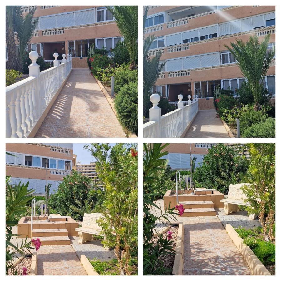Apartamento Estudios Daniel Y Marta La Mata (Torrevieja)