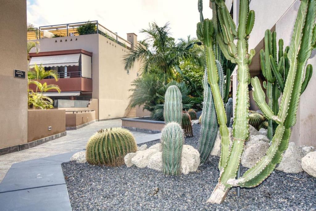 Apartamento Serenity Paraiso Ii