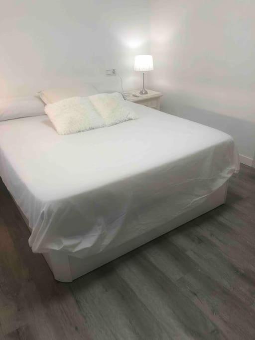 Gran En El Centro Apartamento