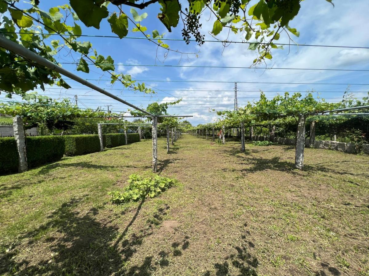 Regueiro Da Vila Apartment Meano