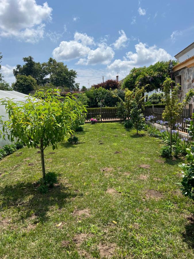 Regueiro Da Vila Meano