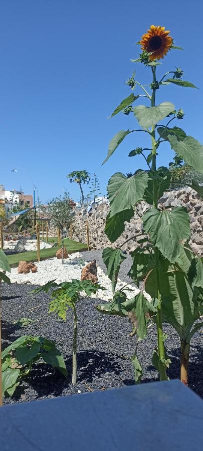Asociacion Deportiva Tagoror Los Olivitos Campsite *
