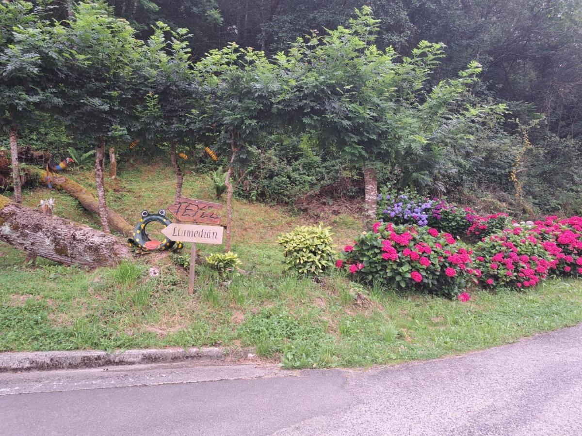 Holiday home Casa La Melliza Vv-3021as *