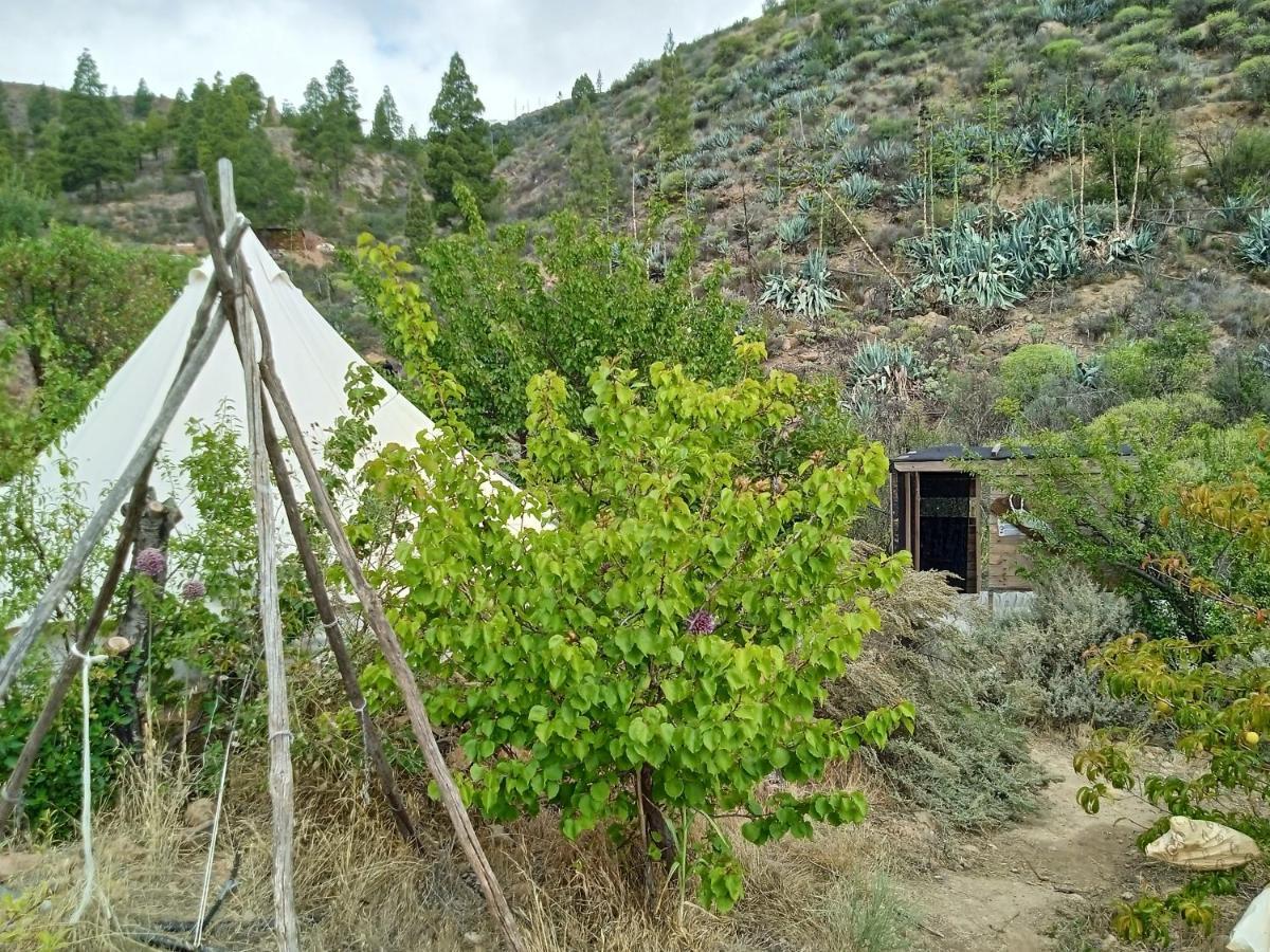 Luxury tent La Del Don Ganapati San Bartolome de Tirajana (Gran Canaria)