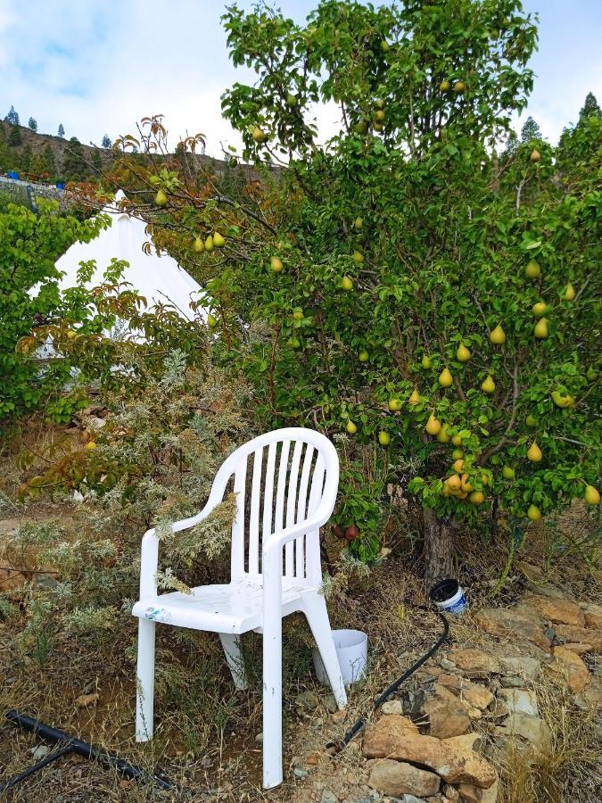 La Del Don Ganapati San Bartolome de Tirajana (Gran Canaria)