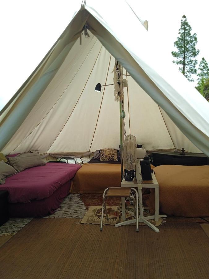 La Del Don Ganapati Luxury tent