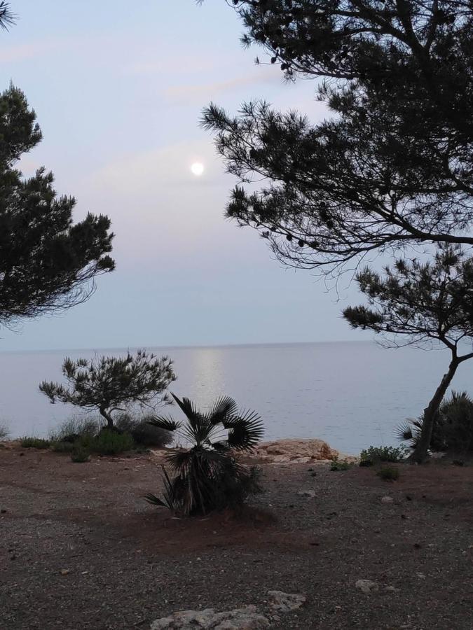 Apartamento La Mejor Vista Al Mar !!! *